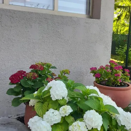 Hortensia Апартаменты