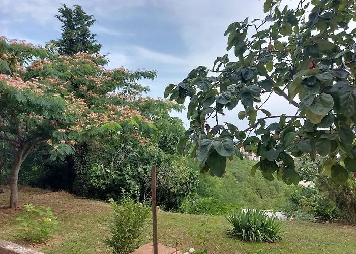 Hortensia Διαμέρισμα *