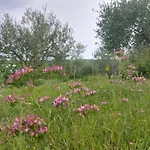 Hortensia Lägenhet Buje