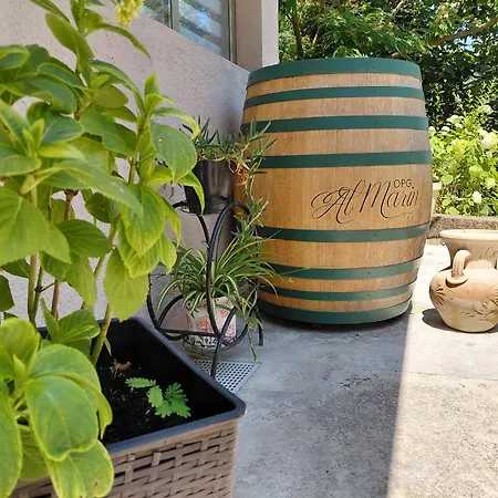 Apartman Hortensia