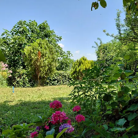 Apartman Hortensia Buje